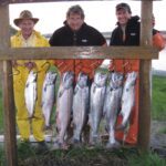 Alaska King Salmon